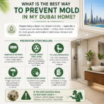 best way to prevent mold in my Dubai home